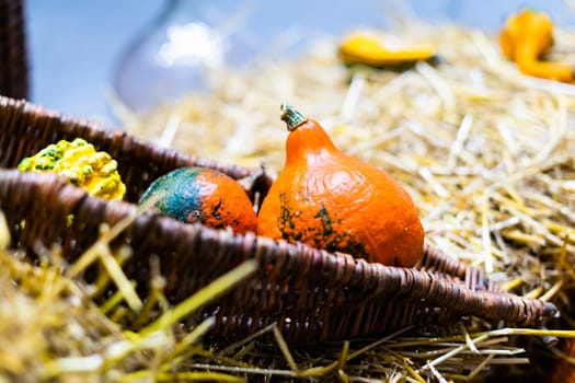 Ripe orange autumn pumpkins in wooden baskets with straw, hay bales farmers market for Halloween.