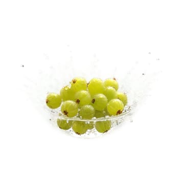 Enticing gooseberries Ribes uva crispa gathered in a small glass dish their translucent skins glowing. Food isolated on transparent background