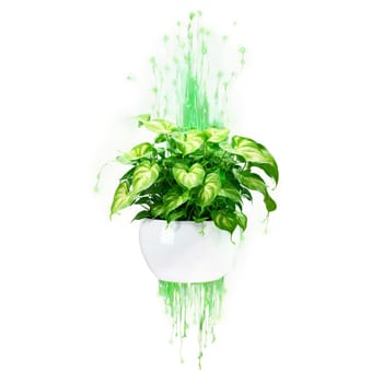 Pothos Neon vibrant chartreuse leaves cascading from a levitating white ceramic pot with a swirl. Plants isolated on transparent background.