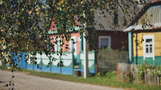 Rural landscape. Birch branches on the background of houses in a village in Eastern Europe