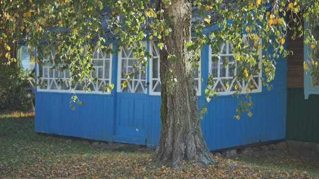 Rural landscape. Birch branches on the background of houses in a village in Eastern Europe