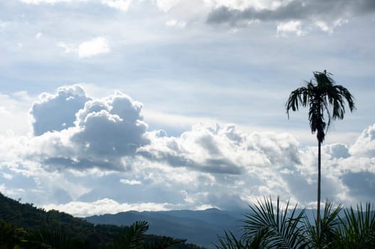 Beautiful nature view with customizable space for text.