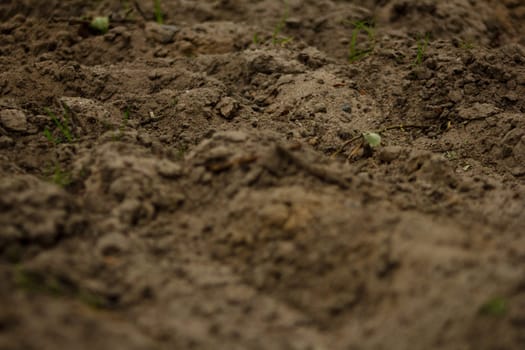 Sand Texture. High quality photo