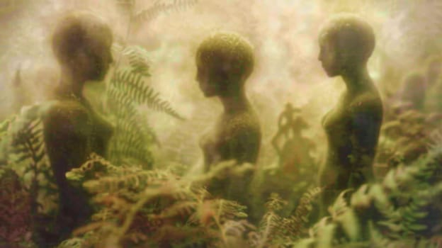 Group of people standing in the middle of a lush field of ferns and plants, exploring nature and traveling