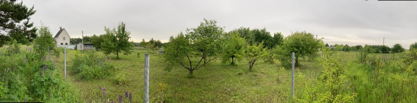 Panoramic view of the a summer cottage