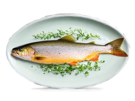 Pan seared trout with crispy skin garnished with parsley and lemon on a floating glass. Food isolated on transparent background.