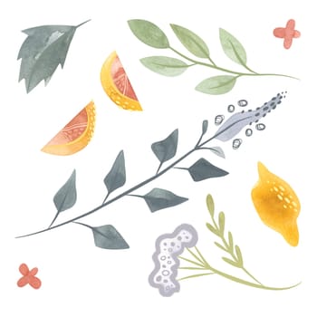 A set of herbs and fruits for tea: oregano, lemon balm, mint, lemon, lemon flowers and lemon slices. Clipart. Isolated watercolor illustration on a white background for menu design, herbal tea packaging and cosmetics