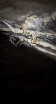 Abstract photo of unique cave structures, captured with selective focus and dramatic lighting.