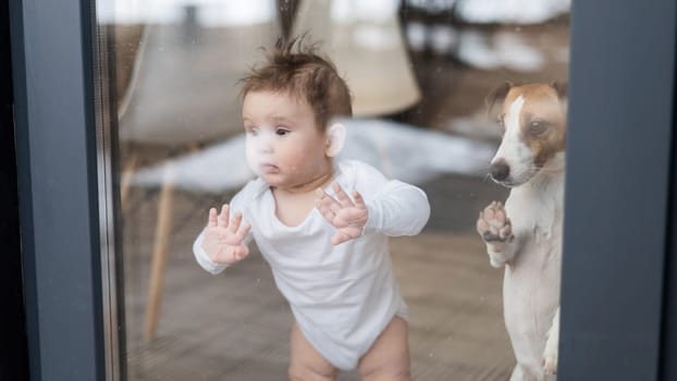 Cute baby boy and Jack Russell terrier dog looking through the patio window