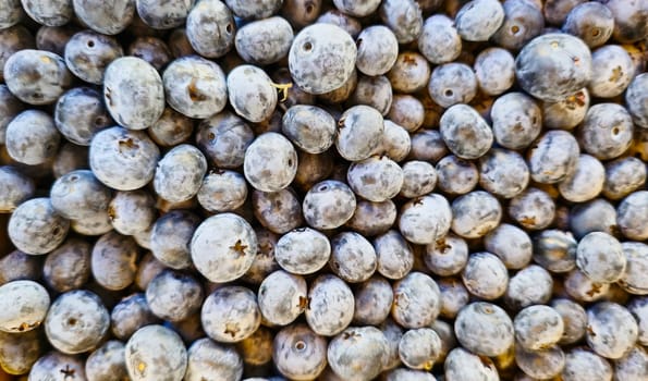 blueberry texture, fruits and berries, ranch