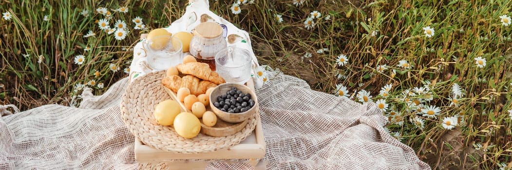 Picnic in the chamomile field. A large field of flowering daisies. The concept of outdoor recreation