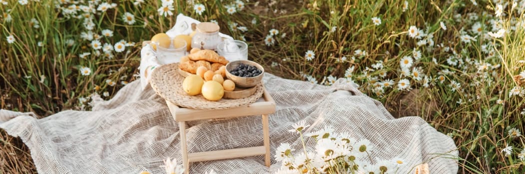 Picnic in the chamomile field. A large field of flowering daisies. The concept of outdoor recreation