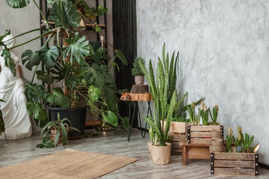 A fragment of the interior with a variety of indoor plants and plaster sculptures. Urban jungle concept. Biophilia design.