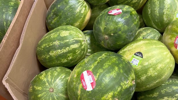 A display of ripe watermelons with price stickers, available for sale at Sams Club. The green watermelons are stacked in a large cardboard box, showcasing their freshness.