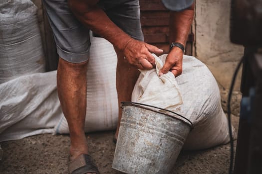 One elderly unrecognizable caucasian man pours wheat from a white bag into a zinc bucket for making dry feed, standing on the street of a house in the village, close-up side view.