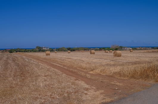 A haystack in a farm field after harvest on a sunny august evening