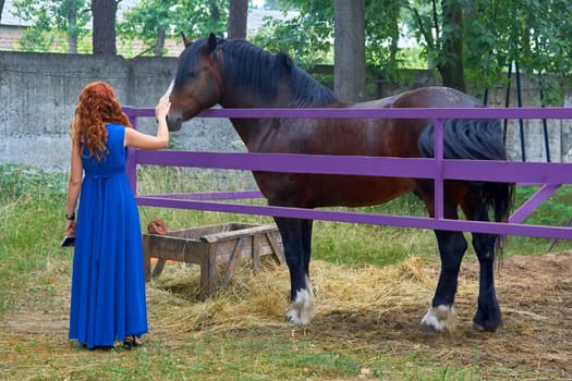 a large plant eating domesticated mammal with solid hoofs and a flowing mane