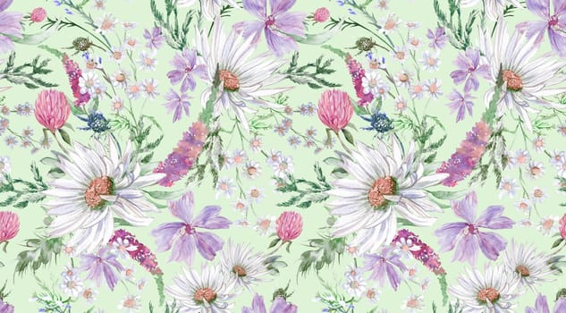 Summer seamless pattern with daisy clover flowers and other wildflowers drawn