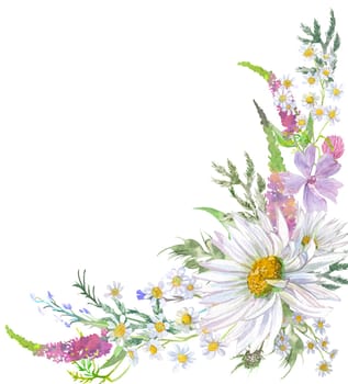 Decorative corner of flowers with daisies and herbs isolated