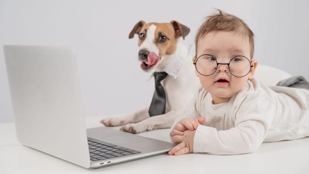 Cute baby boy and Jack Russell terrier dog working on a laptop