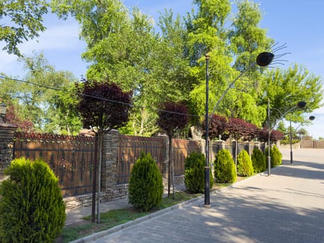 a modern street beautifully decorated with plants. photo