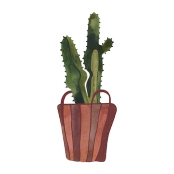 Cactus in a wicker basket. Plants for the home. Floriculture. Interior decoration. Isolated watercolor illustration on white background. Clipart