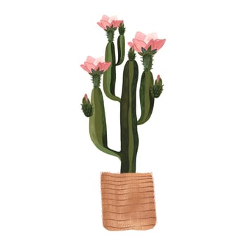 Cactus in a wicker basket. Plants for the home. Floriculture. Interior decoration. Isolated watercolor illustration on white background. Clipart