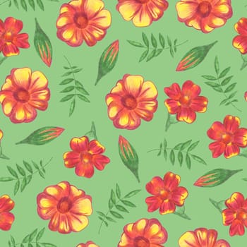 Marigold Flower Seamless Pattern. Hand Drawn Floral Digital Paper on Green Background.