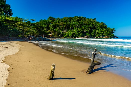 Castelhanos beach and sea,  forest and mountains on the island of Ilhabela in Sao Paulo