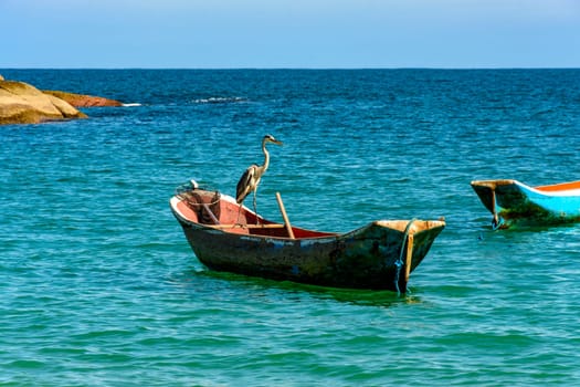 Heron perched on a rustic wooden fishing canoe in the sea of ​​Ilhabela on the north coast of Sao Paulo