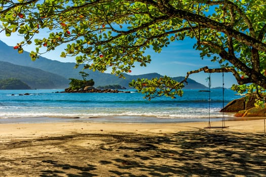 Wild beach of Castelhanos and its paradisiacal tropical landscape on the island of Ilhabela in Sao Paulo