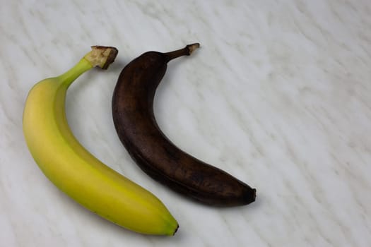 Comparison of fresh banana and spoiled one, rotten fruit is not fit for consumption, rotten banana has turned black after the expiration date
