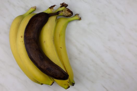 Set of yellow bananas with one overripe brown banana, ugly nasty banana on white table with juicy fruit