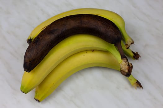 Ugly rotten banana lies on fresh banana fruits on white table, unhealthy food unfit for consumption, spoiled banana