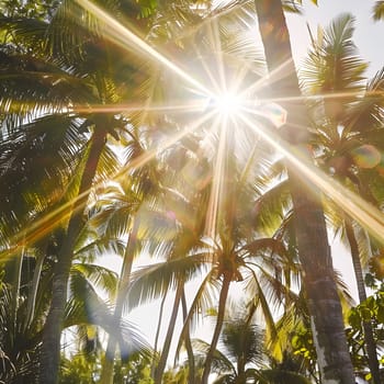 The sky is clear as the sun shines through the palm trees, casting a beautiful lens flare on the terrestrial plants and grass below. People in nature enjoy the flowering plants in the forest