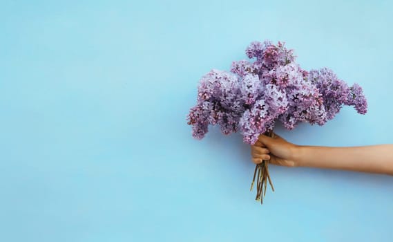 Female hand holding bouquet of spring fresh lilac flowers, wildflowers on blue background