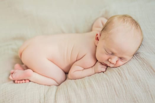 The baby is sleeping peacefully in his cozy nest. Newborn photo session captures the serene innocence and warmth of early moments.