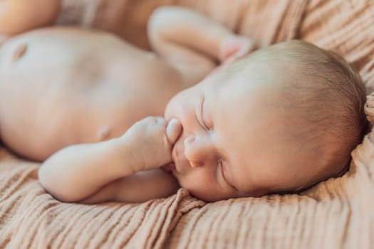 The baby is sleeping peacefully in his cozy nest. Newborn photo session captures the serene innocence and warmth of early moments.