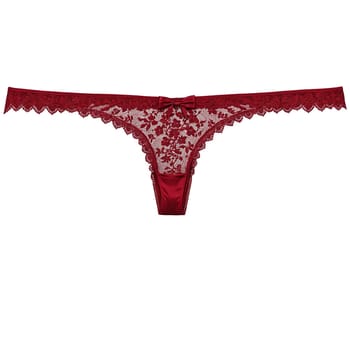 Red Lace Briefs A pair of red lace briefs with intricate lace detailing and a. Woman lingerie isolated on transparent background