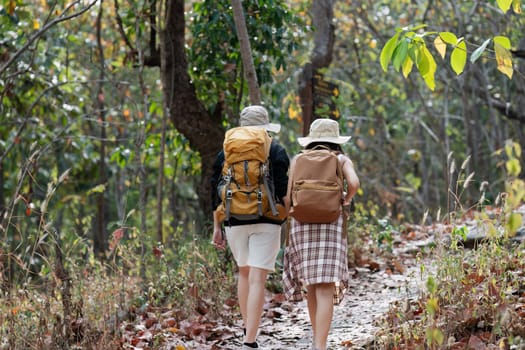 Two hikers with backpacks and hats walking through a forest trail, surrounded by lush greenery and fallen leaves.