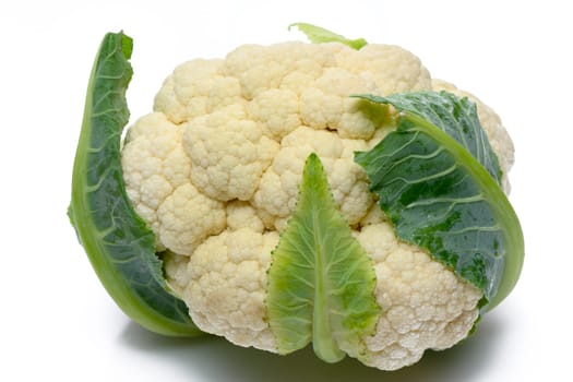 This picture shows a pair of fresh white cauliflower on a white background. 2