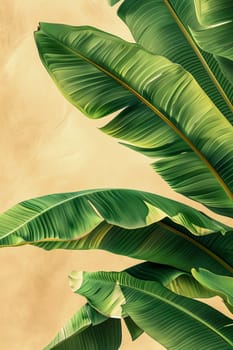 Event poster design with banana leaves. Health, sustainability, nature.