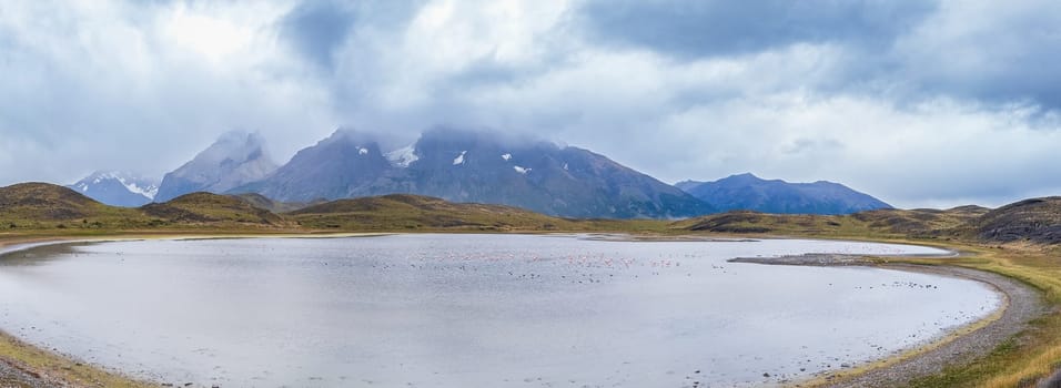 Tranquil scene with flamingos at a mountain-ringed lake, Torres del Paine