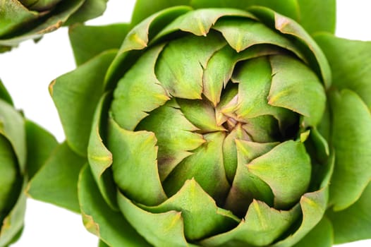 A detailed close up of a green artichoke on a clean white background. Perfect for food or cooking-related projects.