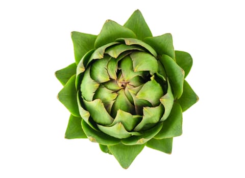 A detailed close up of a green artichoke on a clean white background. Perfect for food or cooking-related projects.1