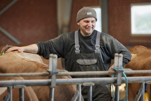 Denmark, Ringkobing, May 3, 2024: worker on a modern cow farm.