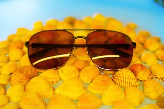 Sunglasses lie on seashells. High quality photo