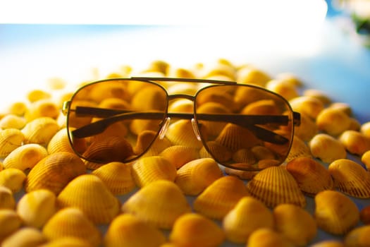 Sunglasses lie on seashells. High quality photo