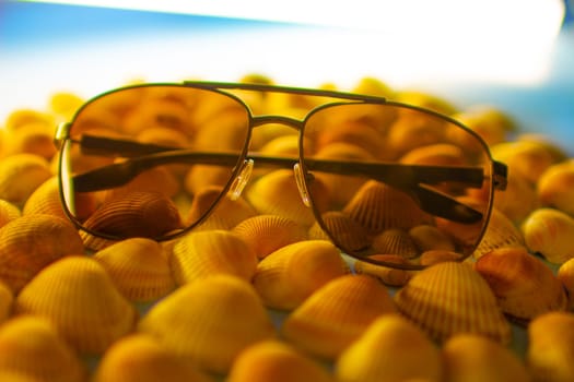 Sunglasses lie on seashells. High quality photo