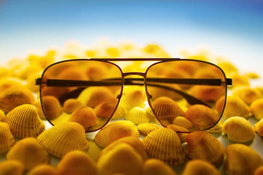 Sunglasses lie on seashells. High quality photo